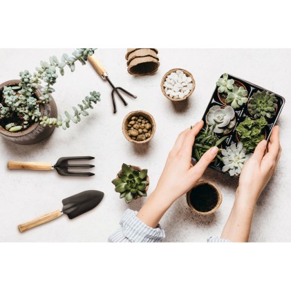 Conjunto de Jardinagem Promocional