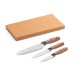 Conjunto de 3 facas de cozinha com lâmina em aço inox e cabo ergonómico personalizado